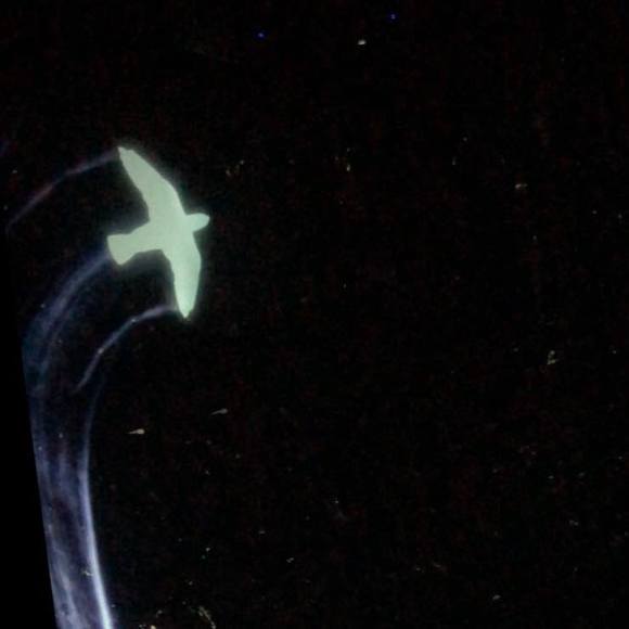 Meet your Posher, Ru - Picture 1 of 1